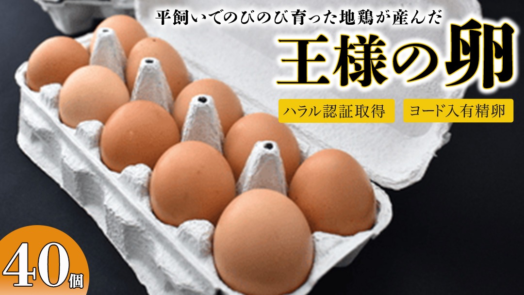 王様の卵 ヨード入 40個 平飼い 地鶏 有精卵 濃厚 卵 こだわり卵 たまご [AU004us]