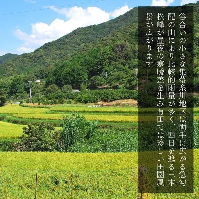お米 10kg (5kg×2袋) 思いを繋ぐ糸川のお米 結意米 【ゆいまい】和歌山県産 【みかんの会】