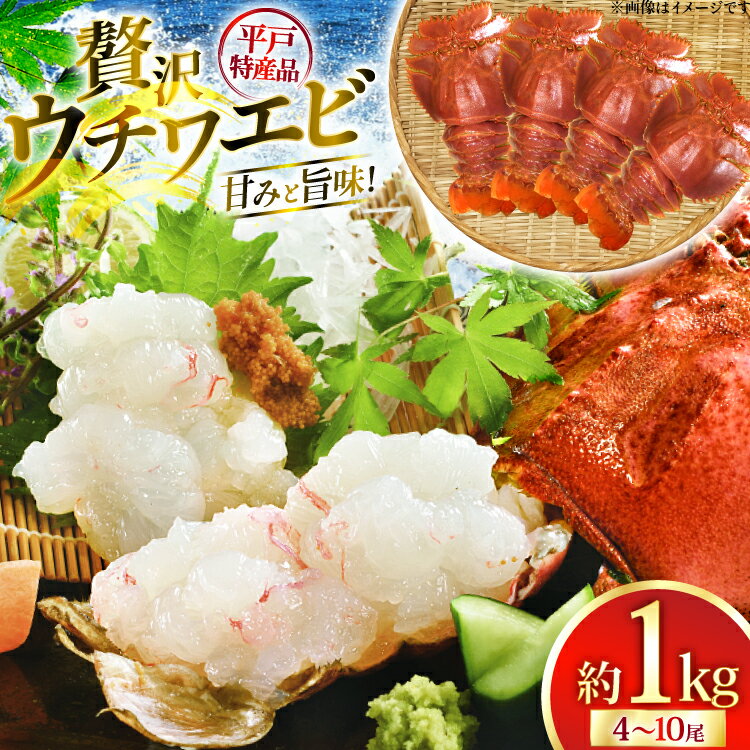 【ふるさと納税】ウチワエビ えび 刺身 平戸 ウチワエビ 三昧 1000g [平戸さくら水産 長崎県 平戸市 hr42bgy420148] 魚介 海鮮 冷凍