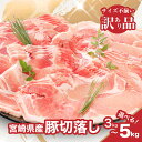 宮崎県産豚切落し5kg(500g×10パック) 訳あり