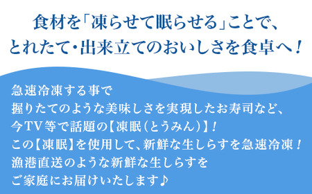 66-50【訳あり】生しらす1kg【TV等で話題の凍眠（急速冷凍）】