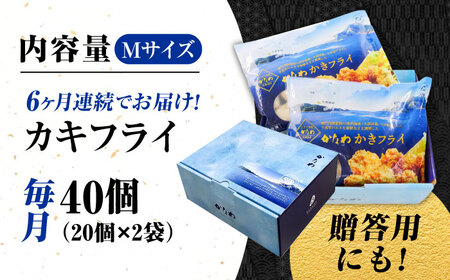 【全6回定期便】牡蠣 冷凍 カキフライ かき カキ 広島牡蠣の老舗！安心・安全の新鮮牡蠣【瞬間冷凍】牡蠣 かきフライMサイズ 40個入り 魚介類 和食 海鮮 海産物 広島県産 江田島市/株式会社かなわ