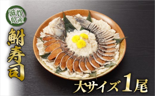 びわ湖産天然 鮒寿し 大 サイズ フナ 鮒ずし 鮒寿司 鮒寿し 鮒鮨 ふなずし おつまみ 晩酌 肴 川魚 湖魚 魚 国産 天然 琵琶湖 栄養 発酵食品 乳酸菌 滋賀 彦根 あゆの店きむら