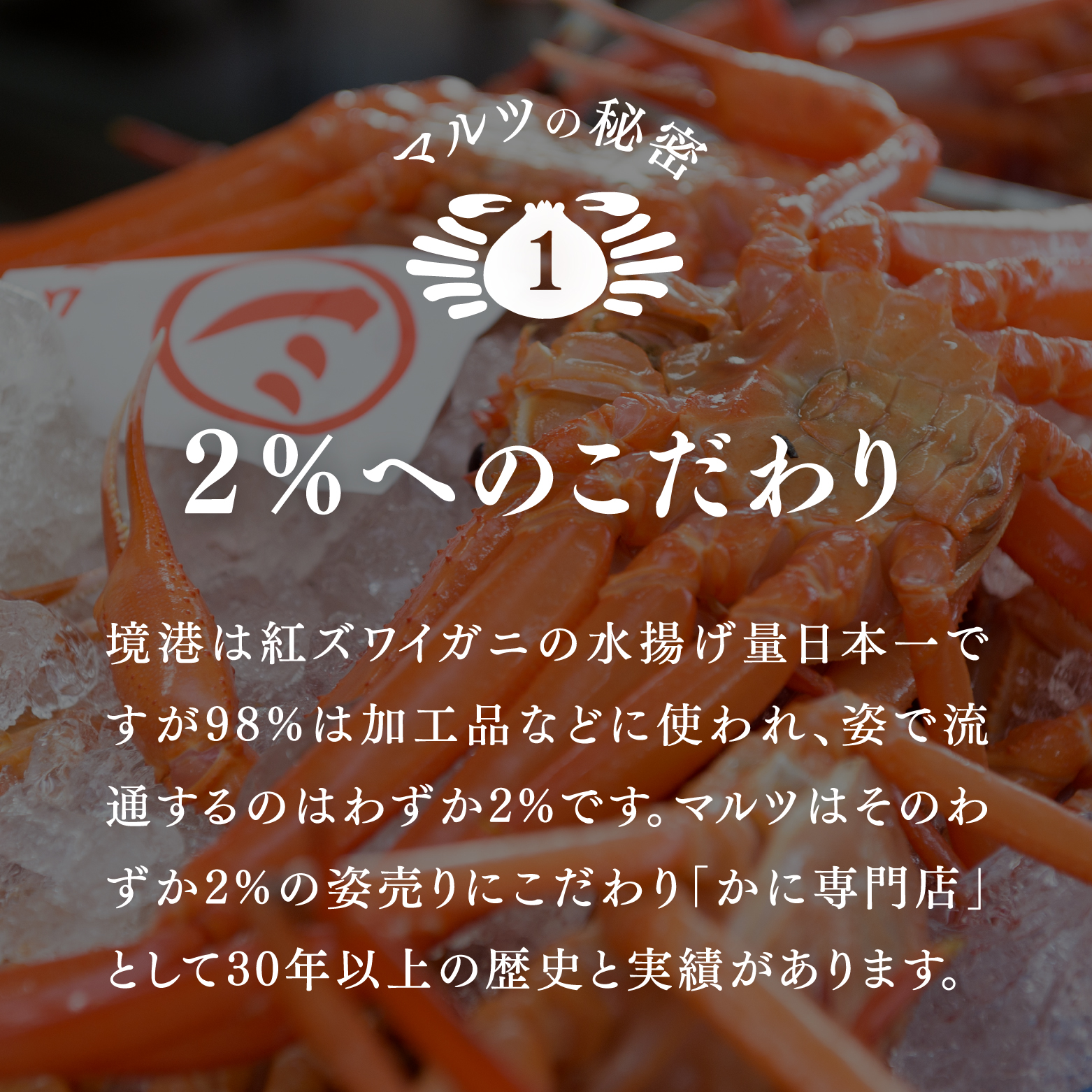 【北海道・沖縄・離島配送不可】蟹屋の釜茹で紅ずわい蟹(大) 500～600g×1枚 ベニズワイガニ 紅ずわいがに カニ かに 境港 マルツ ボイルズワイガニ 鳥取県日南町 