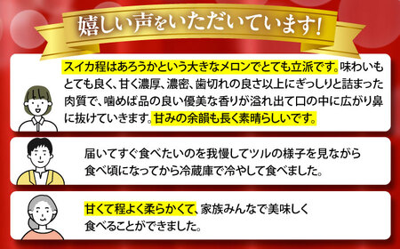 【2026年7月上旬-発送】【平成新山メロンPREMIUM（とみちゃん厳選）】グリーンメロン 1玉 / メロン めろん 青肉 糖度 果物 くだもの フルーツ ふるーつ 旬 高級 ギフト / 南島原市 