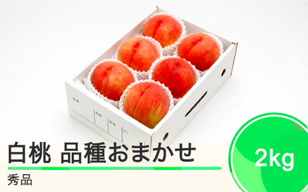 先行予約 もも 白桃 秀品 品種おまかせ 約2kg 化粧箱入り 2025年産 令和7年産 ふるさと納税 果物 くだもの フルーツ 期間限定 冷蔵配送 先行受付 グルメ 取り寄せ ご当地 特産 産地 直送 送料無料 東北 山形県 人気 ns-mohtx2