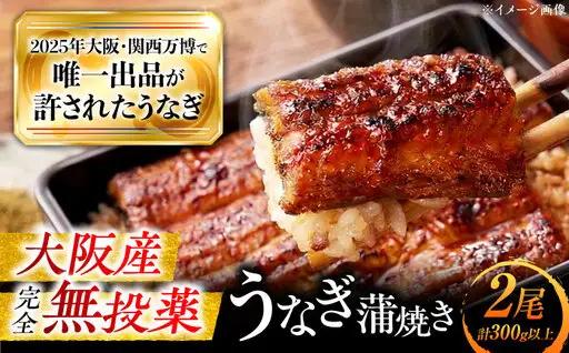 鰻 鰻の蒲焼き2尾セット BLAL001