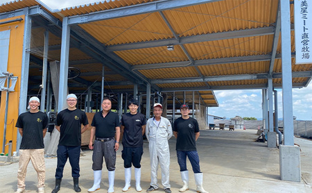 【定期便 3回 隔月で届く】美星和牛 サーロインステーキ 各回約800g（約200g×4枚）ステーキソースと牛脂付き！ 岡山県 里庄町