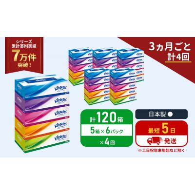 ふるさと納税 岩沼市 定期便 ティッシュ クリネックス ティシュー 5箱入×6P《計4回》[No.5704-1046] |  | 01