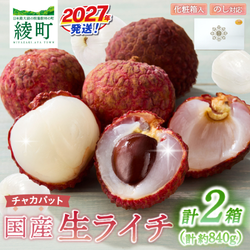 先行予約 数量限定 希少 国産 綾 生ライチ 2箱セット 1種類（化粧箱入り）果物 フルーツ くだもの 国産ライチ 2027年 トロピカルフルーツ 南国フルーツ 冷蔵 ジューシー 高級 デザート ギフト 贈り物 プレゼント ご褒美 宮崎県 送料無料【JA綾町】_A0114-2692