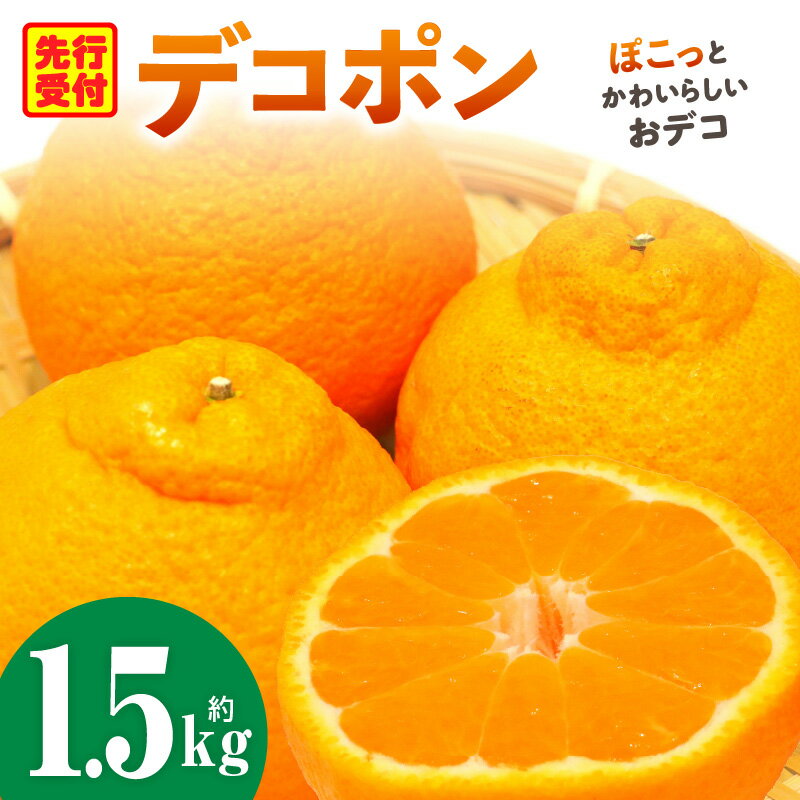 【ふるさと納税】デコポン「中晩かん」瀬戸内の果汁溢れるみかん 不知火（デコポン）約1.5kg デコポン みかん フルーツ 果物 旬 柑橘 デザート お裾分け 旬 旬の果物 おすすめ 人気 デザート 果実 お取り寄せ 贈答用 贈り物 柑橘類 季節 季節の果物 柑橘系 香川県 三木町