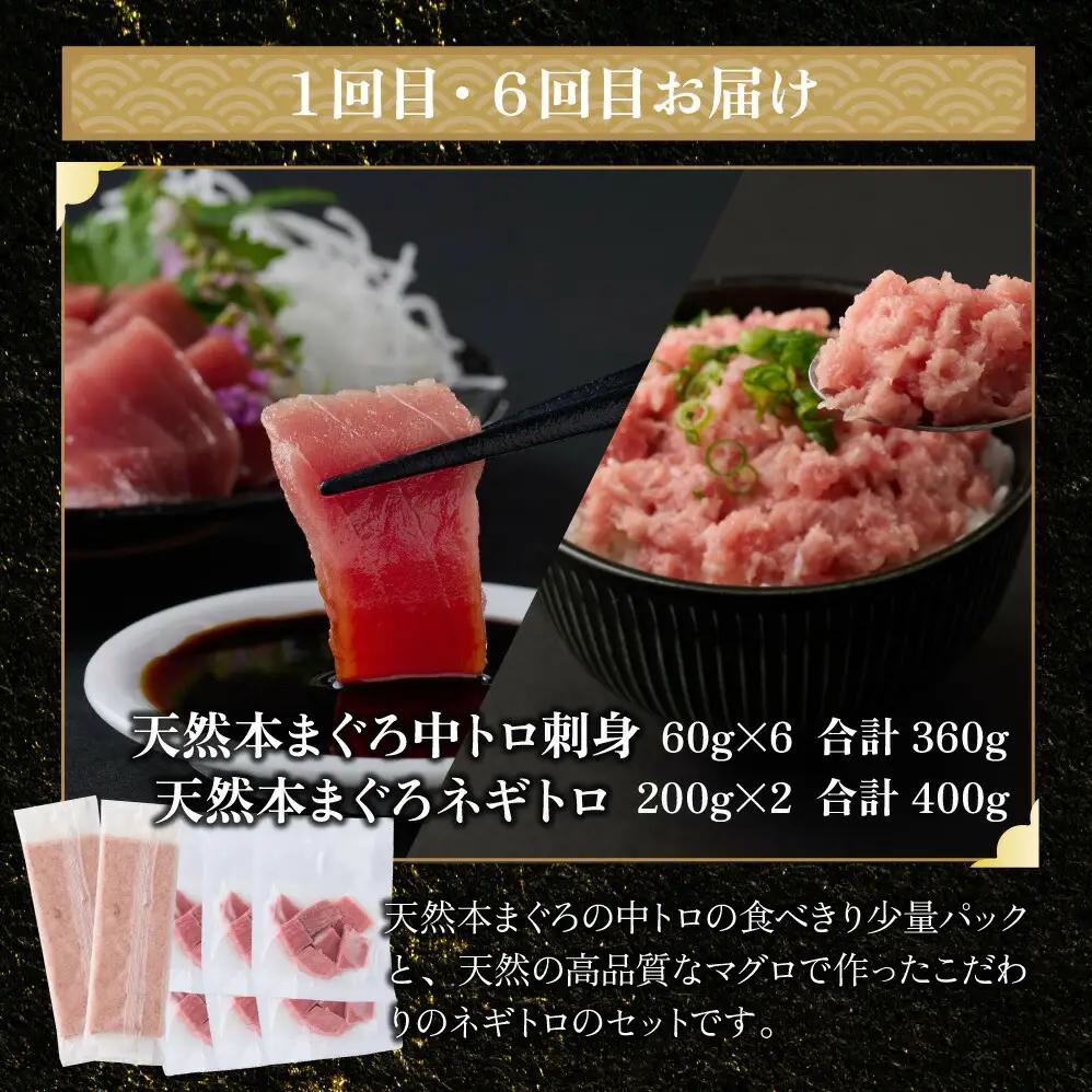【定期便/計6回】海鮮【惣菜海鮮】tk110 FN-Limited-PR