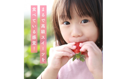（冷蔵）【４月発送分】イチゴ 奈良県産高級ブランド品種「古都華」デラックス（270g×２パック） ／ 上田農園 苺 いちご フルーツ 奈良県 田原本町