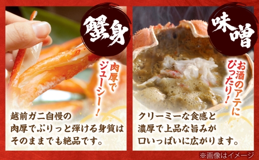 【先行予約/11月7日より順次発送】セイコガニ  越前ガニメス（ セイコガニ ）小サイズ20杯 / 越前ガニ コッペガニ セイコガニ カニ メス せいこ蟹 小浜市 / まるほ商店 【配送不可地域：北海