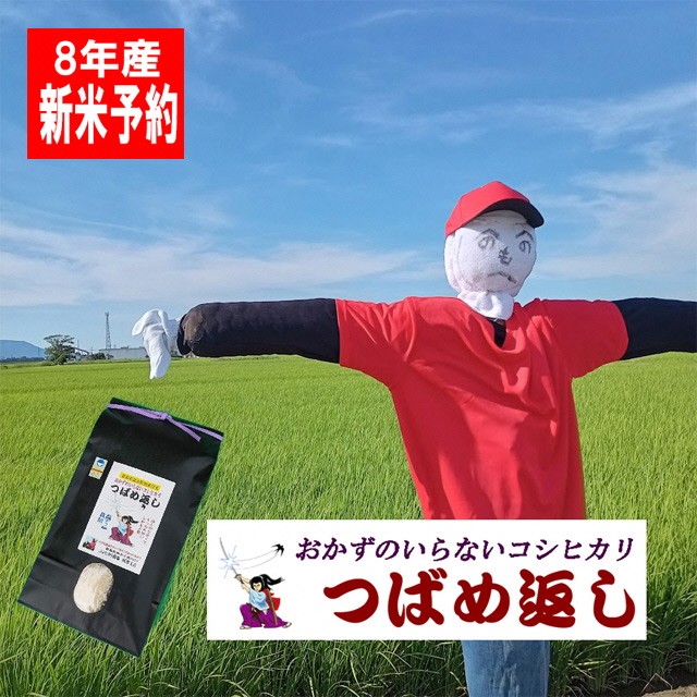 
                  【令和8年産米予約受付中】おかずのいらないコシヒカリ「つばめ返し5kg」白米6か月定期便(月イチで計6回) FC090010
                