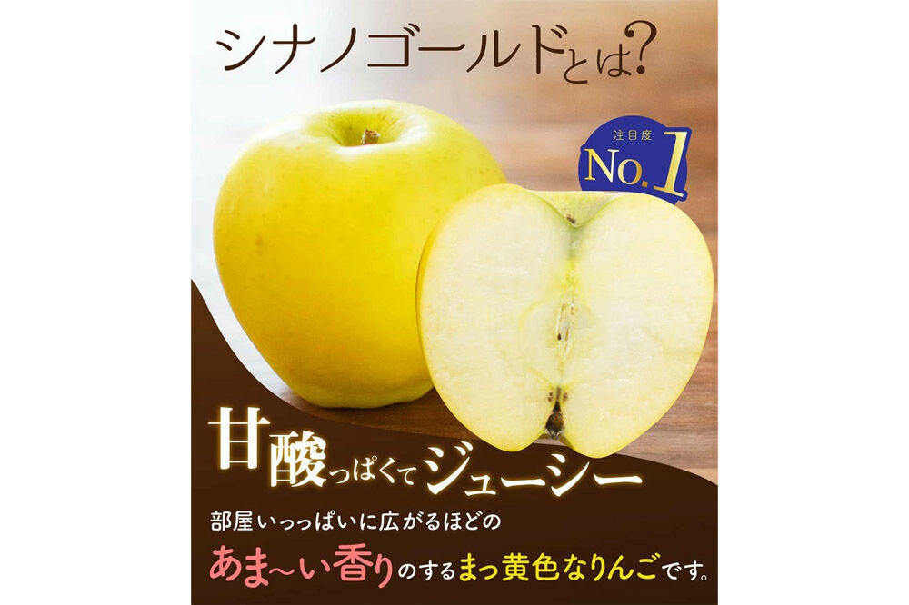 【27年3月クール便発送】りんご シナノゴールド【家庭用】約5kg 青森県 弘前市 [先行予約 クール便 アップル おいしい ふじ りんご 果実 果物 黄色 津軽 糖度 美味 林檎]