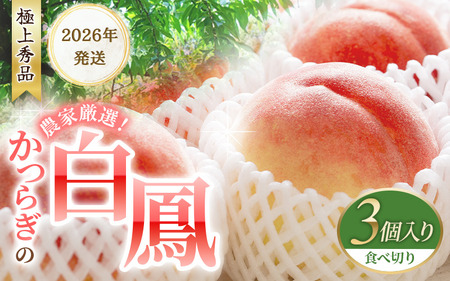【予約受付】桃の王様 白鳳 ＜特秀品＞ うれしい食べきり容量 3玉 【2026年6月末頃～2026年7月末頃に順次発送予定】（お届け日指定不可）/ 桃 もも 白鳳 フルーツ 果物 くだもの 【kgr010A】