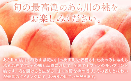 【予約受付】あら川の桃 約2.8kg 室谷青果 《2025年6月下旬-8月中旬頃出荷》 和歌山県 紀の川市