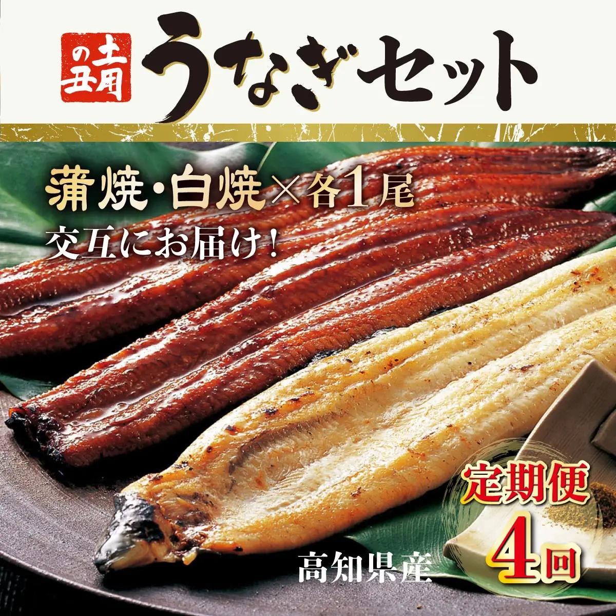 うなぎ蒲焼き 1尾 定期便 4回 うなぎ白焼き yj055