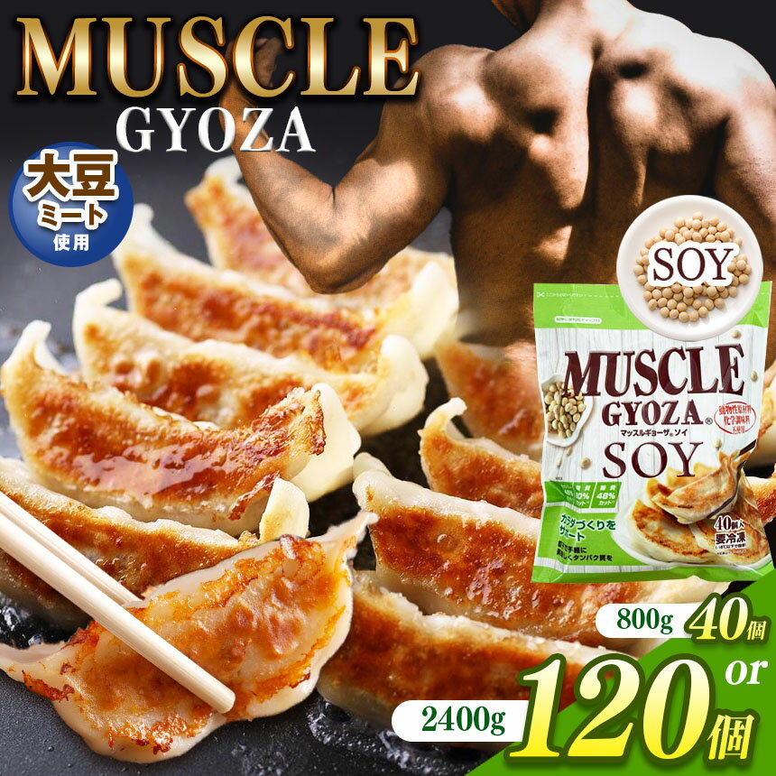 【ふるさと納税】【選べる】MUSCLE GYOZA SOY ～ マッスルギョーザ ソイ ～単品or3パックセット｜ふるさと納税 餃子 ギョーザ低糖質 マッスルギョーザ 長野県 松本市