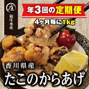 【ふるさと納税】【定期便/年3回】絶品！子供から大人まで大満足！香川県産たこのからあげ1kg（500g×2袋）　定期便・ 加工品 惣菜 冷凍 魚貝類 タコ 新鮮 真ダコ 厳選 食べやすい カット 独自製法 急速冷凍 唐揚げ からあげ 　お届け：スタート月より4ヶ月ごとにお届け