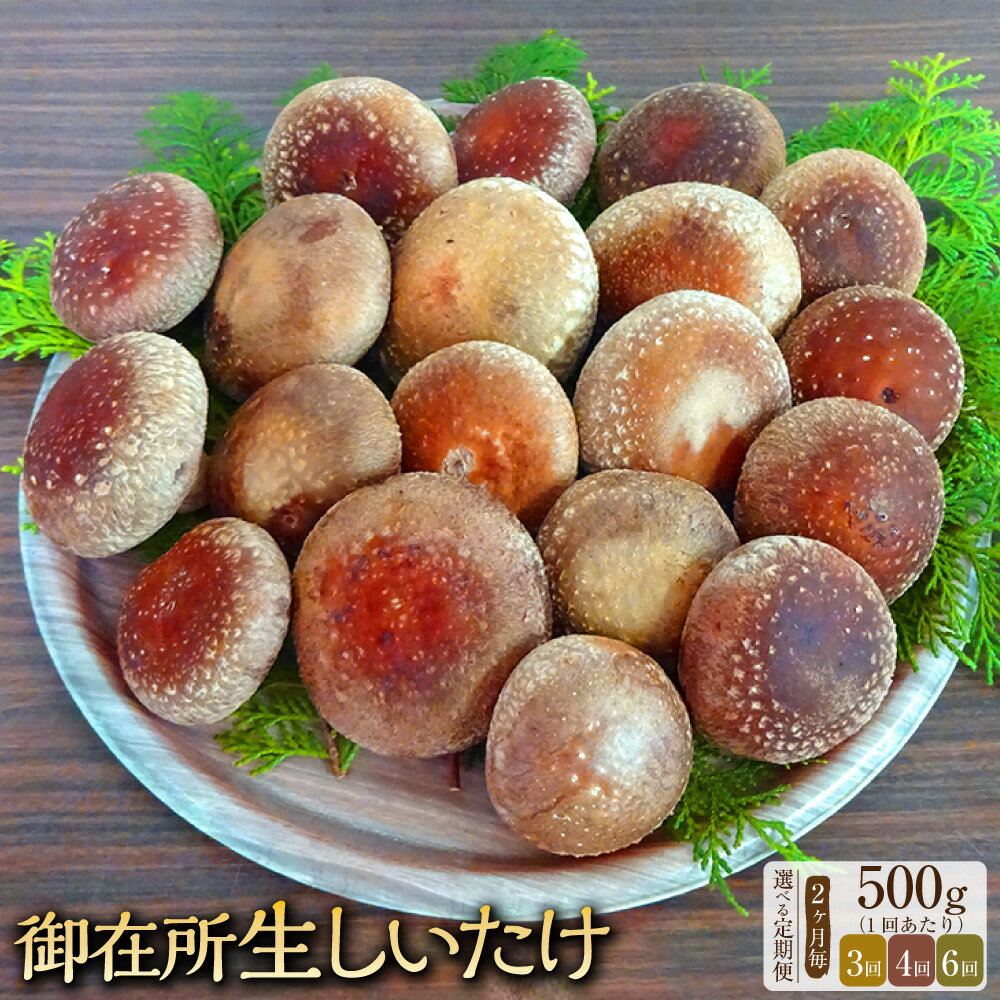 【ふるさと納税】＜選べる定期便＞【2ヶ月毎】【3回・4回・6回定期便】御在所肉厚生しいたけ 1回あたり 約500g 椎茸 シイタケ きのこ キノコ 茸 野菜 冷蔵 高知県 香美市 送料無料