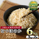 【ふるさと納税】東串良町産！なつほのか玄米(3kg×2袋・計6kg) 令和6年産 玄米 お米 こめ 米 6キロ【吉ヶ崎農園】【0102701a】