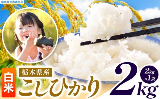 いちご農家さん応援米！ 訳あり 令和7年度産 白米 約2kg こしひかり | 真岡市産 米 お米 こめ 白米 ご飯 ごはん もちもち コシヒカリ 限定 ふるさと納税  栃木県 真岡市 送料無料