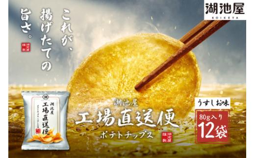 A-35 湖池屋工場直送便ポテトチップスうすしお味 12袋（加須工場製造【数量限定】）