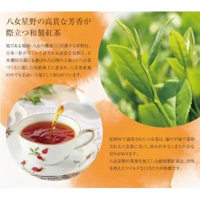 Z26-15 八女星野産 和紅茶150パック(2g×10個入×15袋) 紅茶