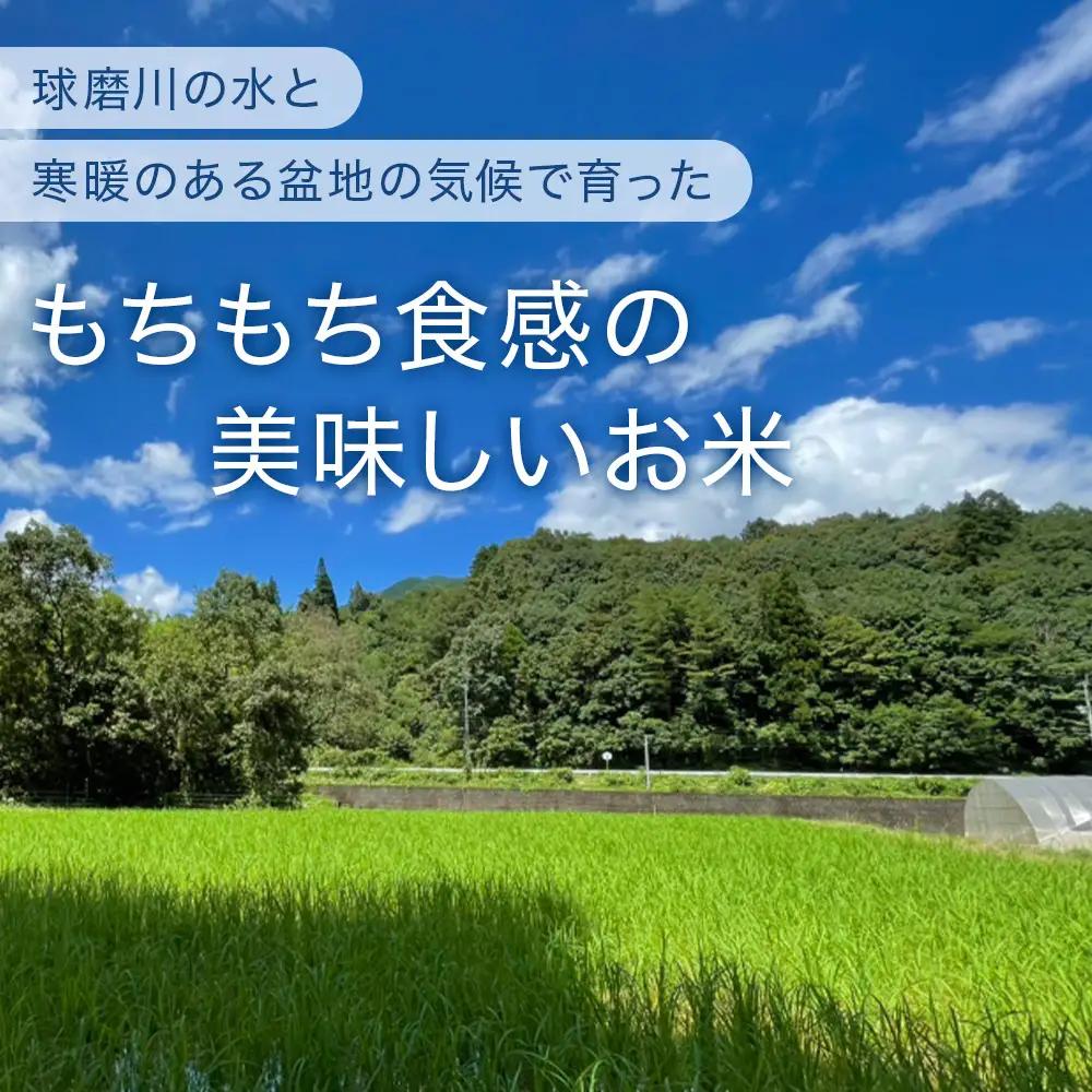 【R7年産 米 】多良木町産 にこまる 5kg 均ちゃん農園 令和7年 精米 熊本県 米どころ 多良木町 白米 ご飯 お米 うるち 米 008-0670