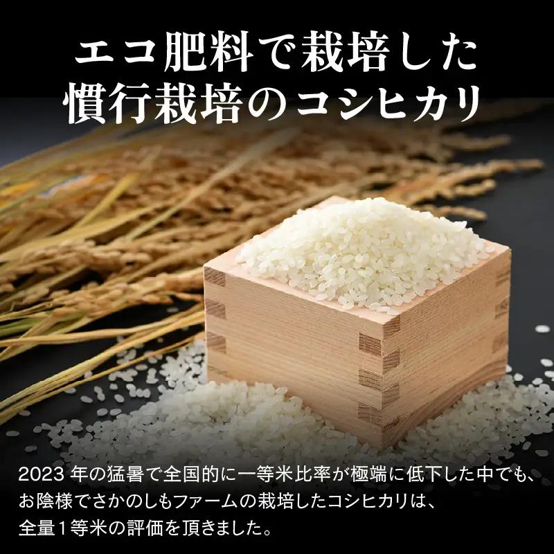 【先行予約】【令和8年産 新米】【一等米】エコ栽培コシヒカリ 白米5kg ／ 鮮度抜群 福井県産 こしひかり ご飯 新鮮 白米 ※2026年10月上旬以降順次発送 [aw063-a030]