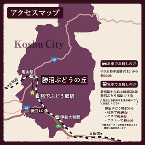 勝沼ぶどうの丘ソムリエ厳選ワインセット（17,000円相当）（KBO）H-653 【ワイン 勝沼ぶどうの丘 甲州ワイン 山梨県 甲州市】