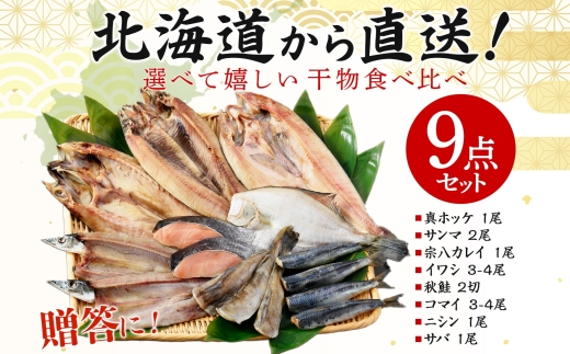 2918. ふっくらやわらか 干物 9点セット 魚介 海鮮 送料無料 北海道 弟子屈町