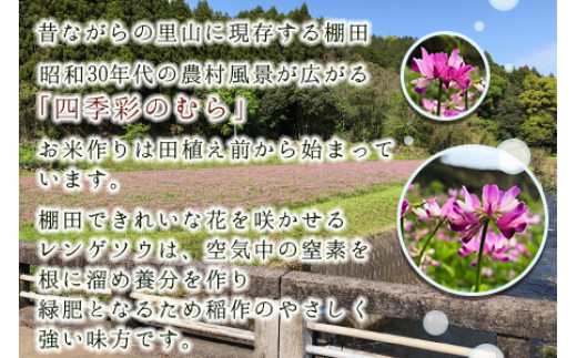 ＜令和５年度 特別栽培米「粋」キヌムスメ 5kg（3か月定期便）＞ ※翌月下旬に第一回目発送（12月は中旬）