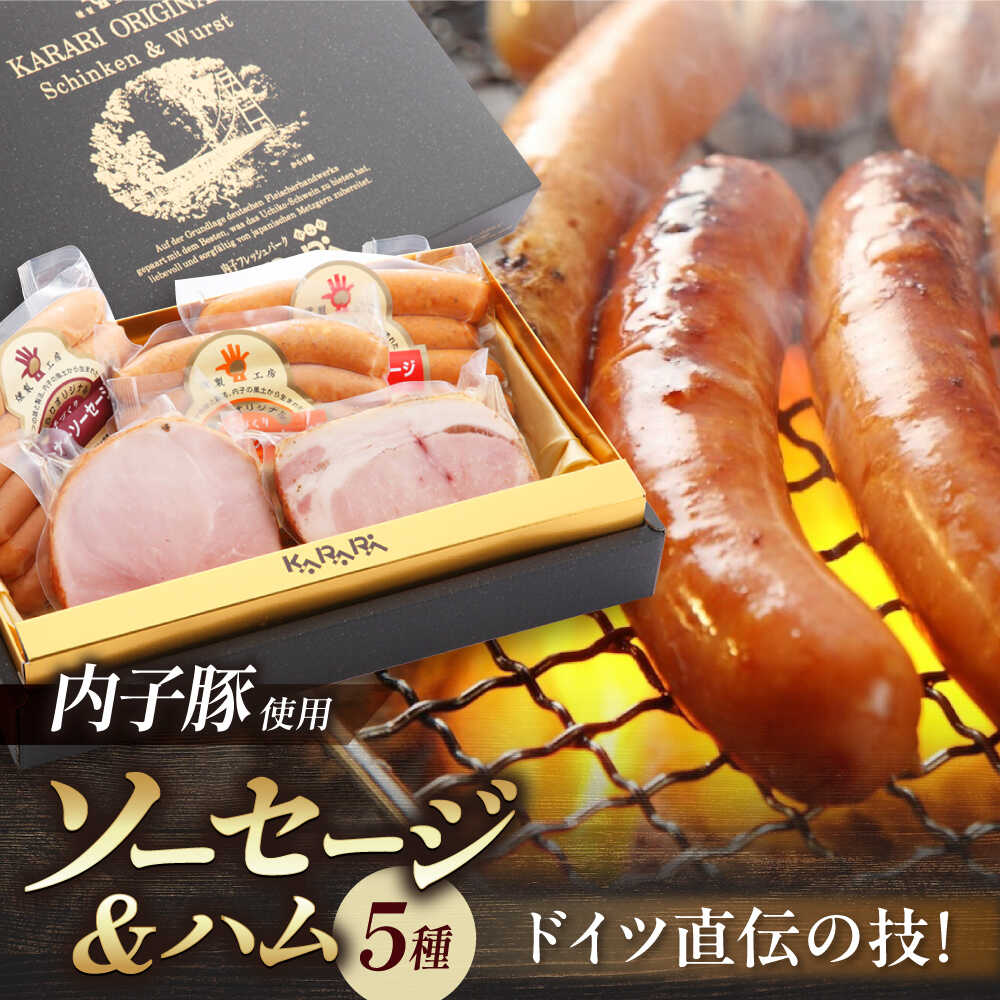【ふるさと納税】内子からり直送！ドイツ仕込み内子豚ハムソーセージセット1 ／ ソーセージ BBQ ハム 晩酌 大人気 おつまみ ギフト【株式会社内子フレッシュパークからり】[BKAD002] 21000 21000円
