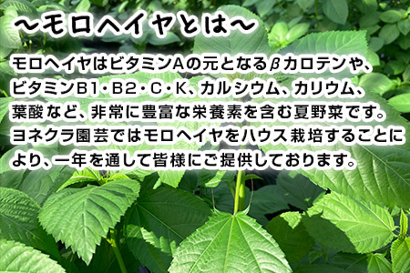 『先行予約』【12月上旬より順次発送】冬穫れハウスモロヘイヤ 100g×10袋×3箱 ネバネバ 高栄養価(βカロテン/各種ビタミン/カルシウム/カリウム/葉酸など) 定番おひたし 和洋中の各種スープ