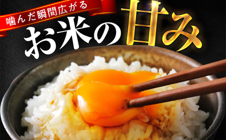 【2回定期便】お米 小浜市産コシヒカリ お米 10kg こめ ごはん 小浜市 梅田東米穀店[BFEK014]