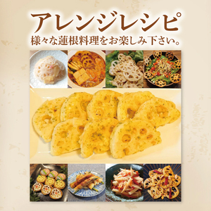 【先行予約】【特選】ふなしま蓮根(4kg箱)3～6本【レシピ 高品質 幻の蓮根 老舗 希少品種 柔らかい】(82-01)
