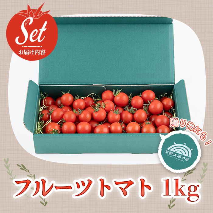 ＜予約受付中＞再エネと次世代農法が育んだ高糖度フルーツトマト約1kg フルティカ 濃厚 野菜 茨城県 フルーツトマト 高糖度 おつまみ 中玉トマト トマト やさい 完熟 お弁当 贈り物 サラダ 産地直