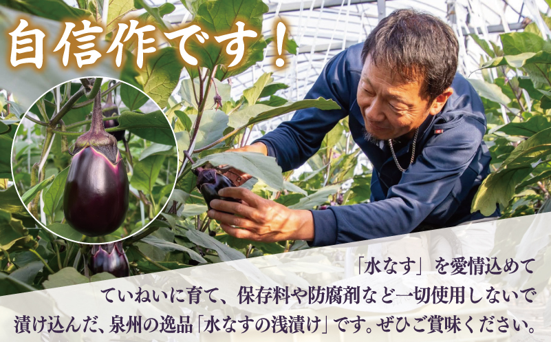 俺の浅漬け（水なす浅漬け） 6個入り【新鮮 朝採り 泉佐野産 水ナス 水茄子】 G1709