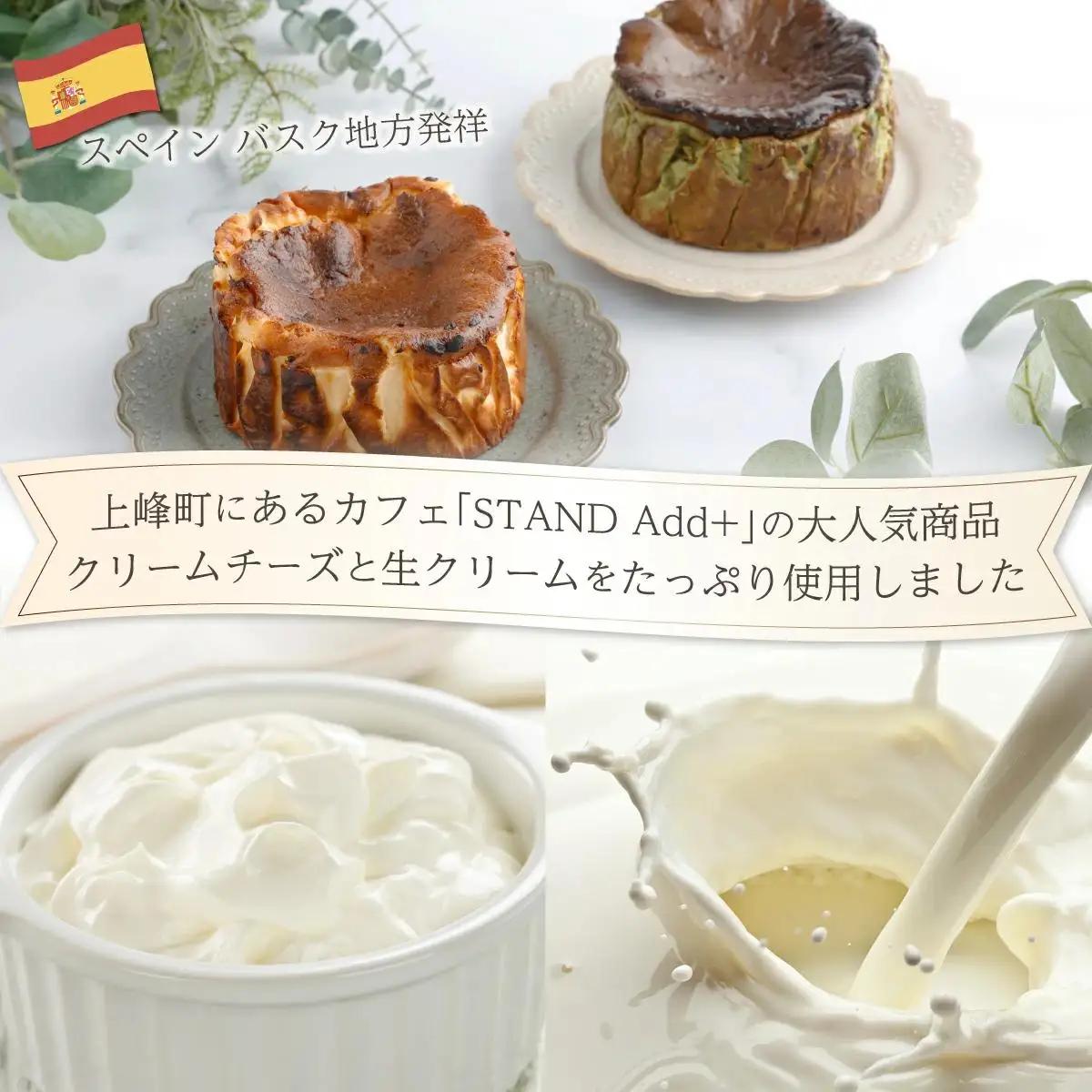 濃厚バスクチーズケーキ パンプキン  [B-1190-SP_003]