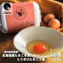 【ふるさと納税】【卵6回定期便】北海道産たまごを食べ比べ「とうきびたまご3種」48個×6回発送 酒井農場