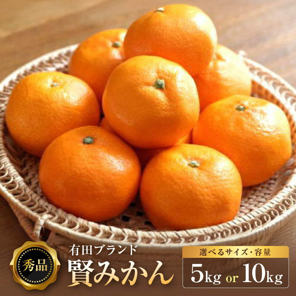 [秀品]有田のブランド「賢みかん」5kg(Mサイズ) 【2023年11月中旬頃より順次発送】 | 先行予約 和歌山 果物 くだもの フルーツ 柑橘 蜜柑 ブランド 取り寄せ ご当地 期間限定 【2023年11月中旬頃より順次発送】