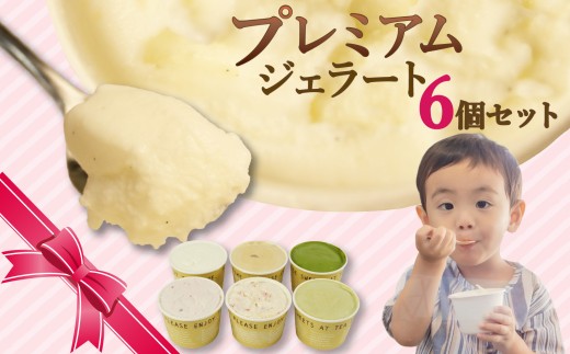 【先行受付2026年5月GW頃から発送】プレミアム ジェラート 6個 セット スイーツ 洋菓子 お菓子 お中元 ギフト プレゼント 贈り物 アイス アイスクリーム 詰め合わせ 人気 美味しい 贈答用 抹茶 バニラ クッキー 塩 キャラメル いちご ティラミス ベリー ピスタチオ 静岡県 長泉町