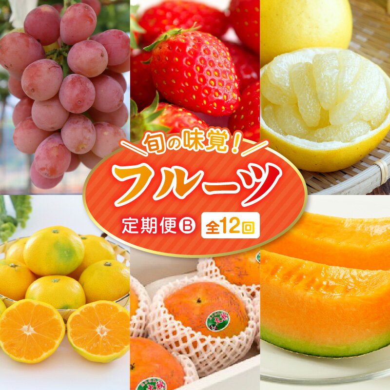【ふるさと納税】数量限定 先行予約 旬の味覚 2026年 定期便 B セット 完熟 いちご 網田ネーブル 不知火 パール柑 オレンジハート 肥後グリーンメロン 冷凍いちご シャインマスカット クイーンニーナ 早生みかん 太秋柿 アールスメロン デコポン フルーツ 【熊本県宇土市】