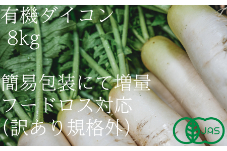 【訳あり（フードロス）】有機大ダイコン8㎏（12月・1月・2月発送）規格外 オーガニック 野菜 無農薬 大根 だいこん 2141