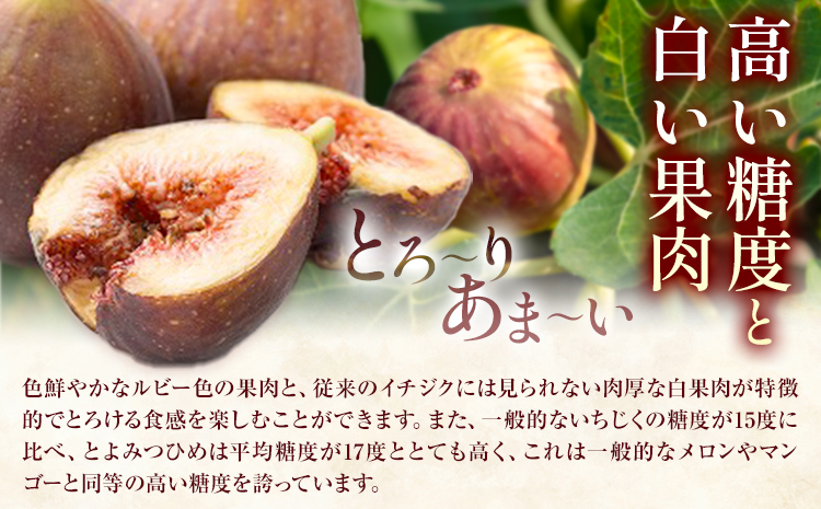 いちじく 無花果 とよみつひめ 約1.2kg 約300g × 4パック 南国フルーツ株式会社《8月上旬-10月末頃出荷》福岡県 鞍手町 福岡県産 いちじく フルーツ 果物---skr_cnngkt_a