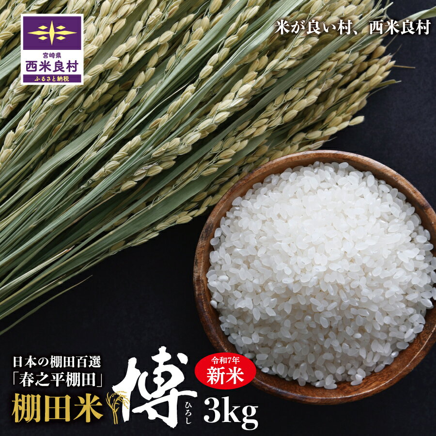 【ふるさと納税】 【令和7年産 】3kg 宮崎県西米良村 棚田米 精米 白米 贈答 ギフト宮崎県西米良村産 棚田米「博」米が良い村、西米良村　こめ 米 お米 ご飯 ごはん 白飯 ライス