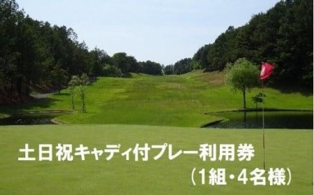 【ゴルフ利用券】エリエール ゴルフクラブ松山 土日祝キャディ付プレー利用券４名１組 | ゴルフ ゴルフ ゴルフ ゴルフ 【ER0071】